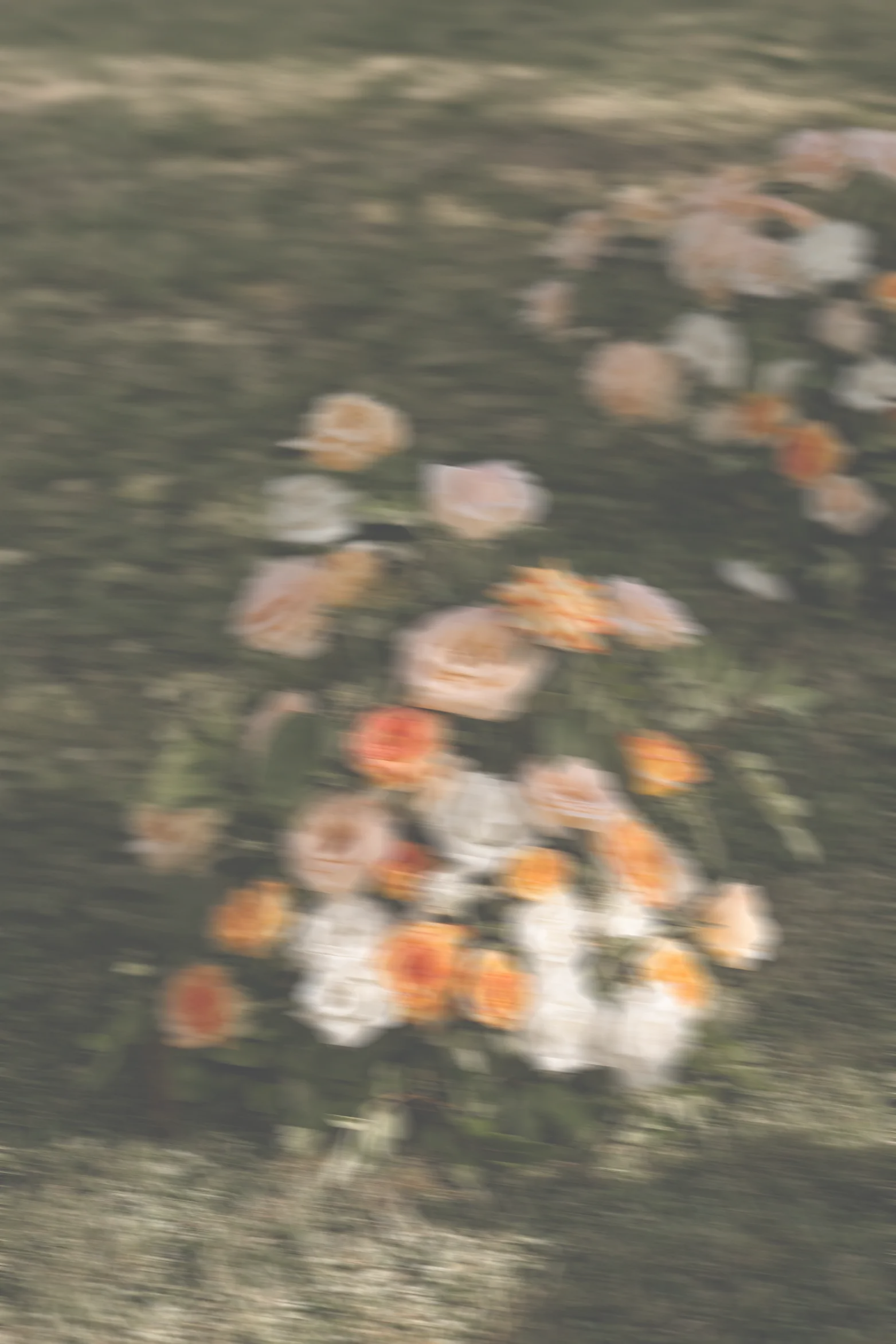 Sanneloes Fotografie