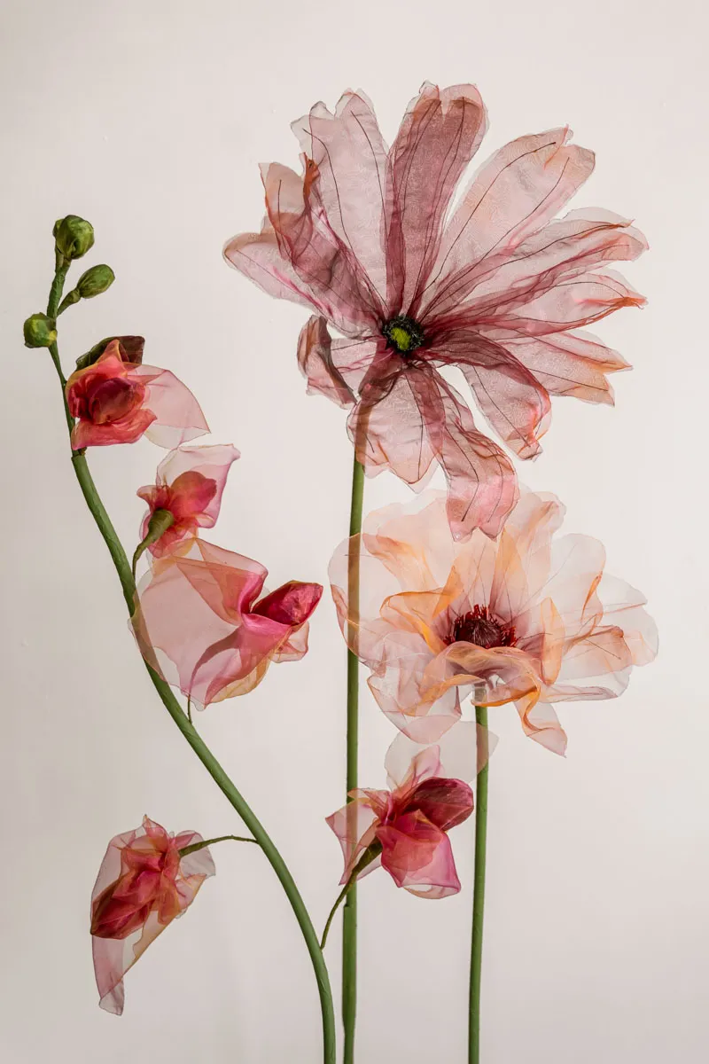 Sanneloes Fotografie Savvy Styling  La Luz