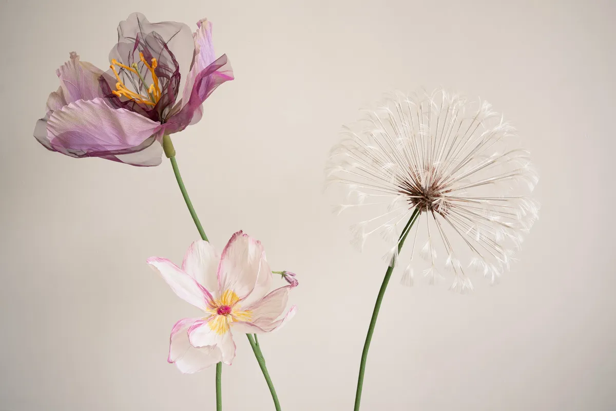 Sanneloes Fotografie Savvy Styling  La Luz
